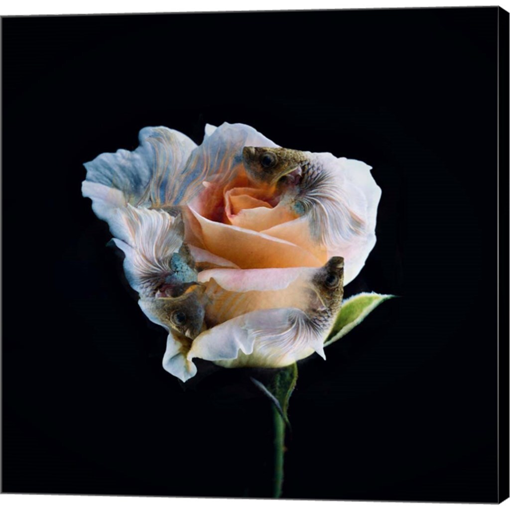 Betaflower by Pixelmated Animals 12&#x22; x 12&#x22; Canvas Wall Art