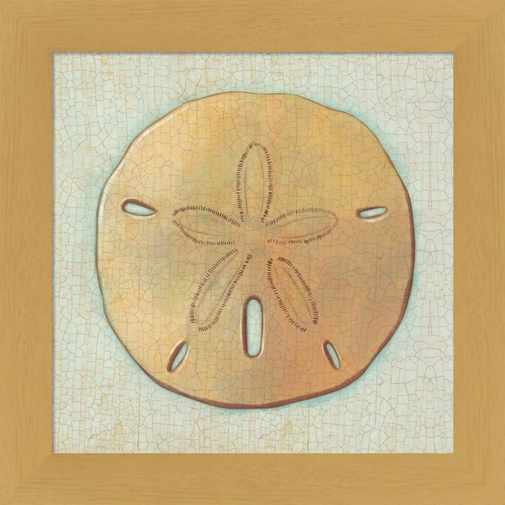 Coastal Treasures IV by Josefina 13&#x22; x 13&#x22; Framed Wall Art