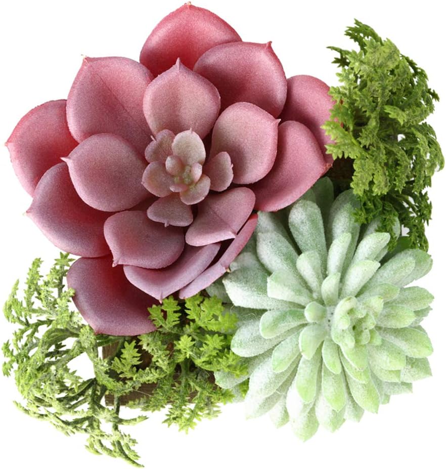 Artificial Mini Succulents in Wood Pots, Set of 3, for Home and Office Decor