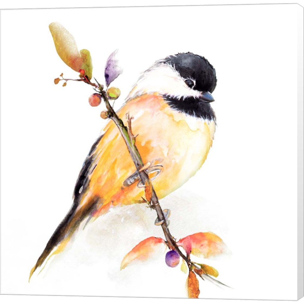 Watercolor Chickadee I by Diannart 12&#x22; x 12&#x22; Canvas Wall Art