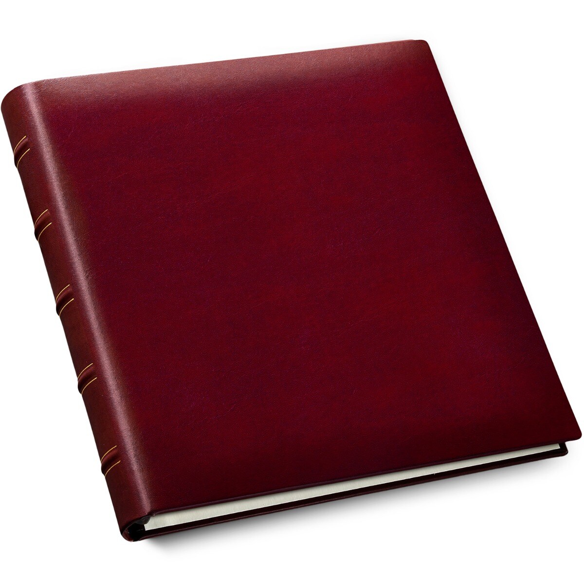 Gallery Leather Premium Ring-Bound Scrapbook, 12.25"x11.75" Leather Cover, 10 Sheets Ivory Inserts, Perfect for Customization