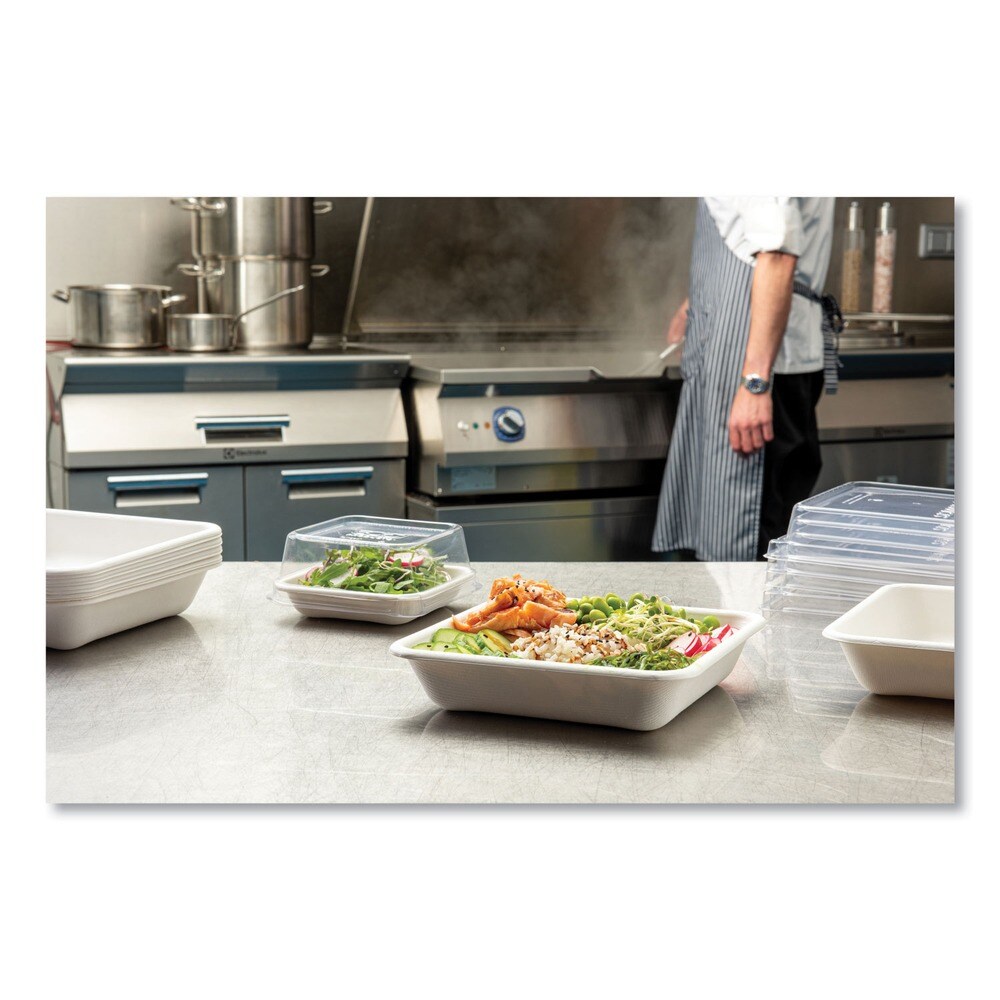 Eco-Products 36 oz 8 x 8 x 2 Vanguard Worldview Renewable and Compostable Sugarcane Take-Out Containers - White (200/Carton)