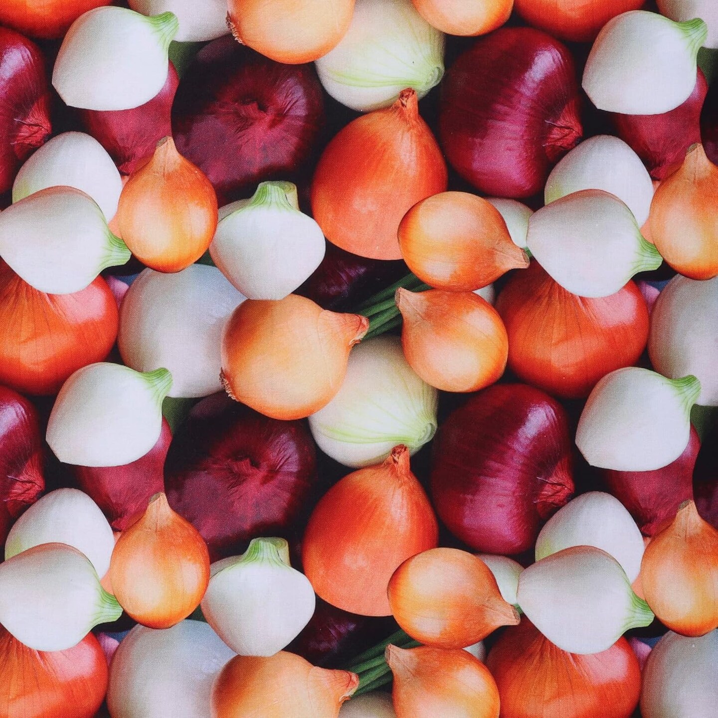 Mook Fabrics Fruit-Vegetables Cotton Fabric [45 in. Wide] - By The Yard