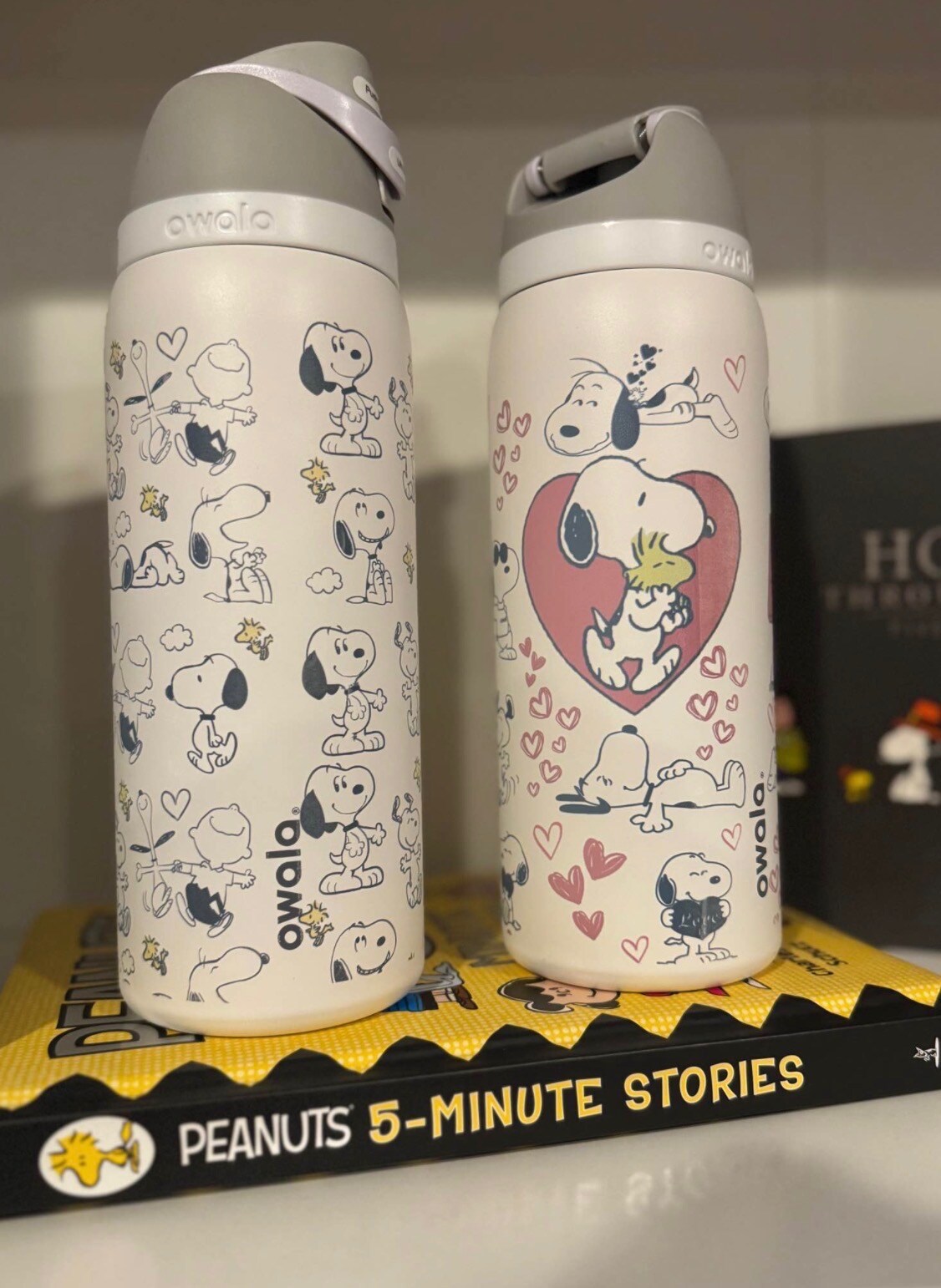 Snoopy Owala 32oz Water Bottle Peanuts Aesthetic Tumbler Leak