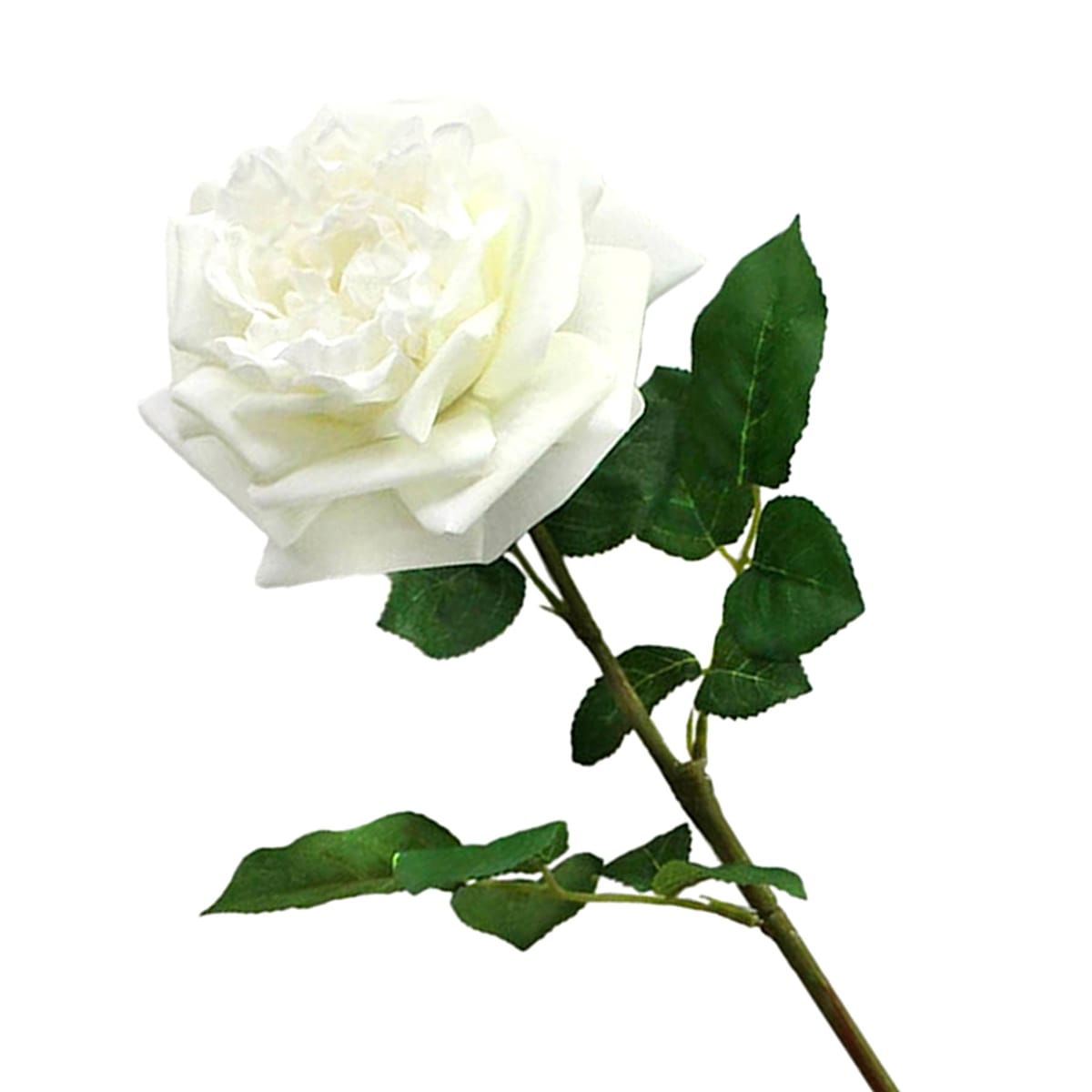 25.6&#x22; Real Toch White Rose Artificial Flower Stem
