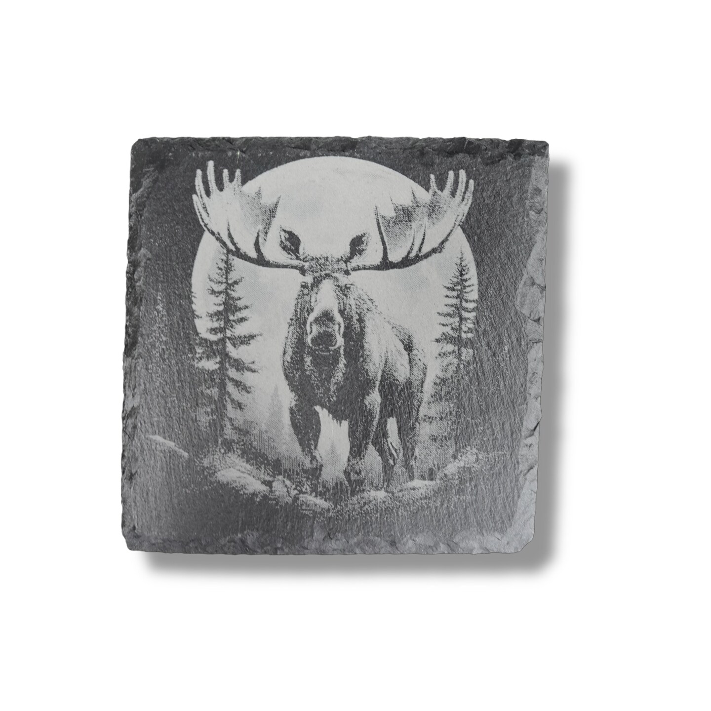 Coaster - Slate - Woods at Night - SET of 4