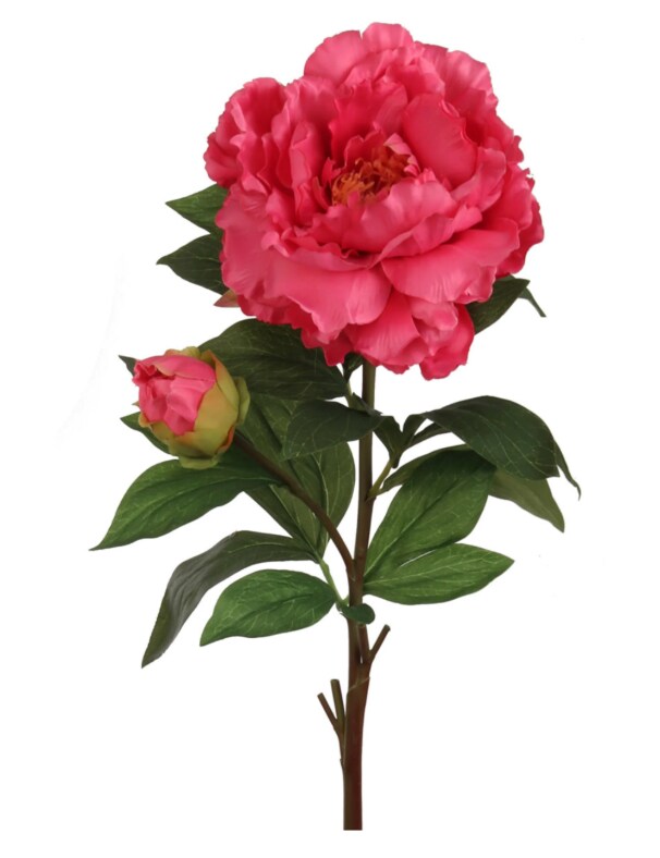 2pc 30&#x22; Peony Stem Fuchsia
