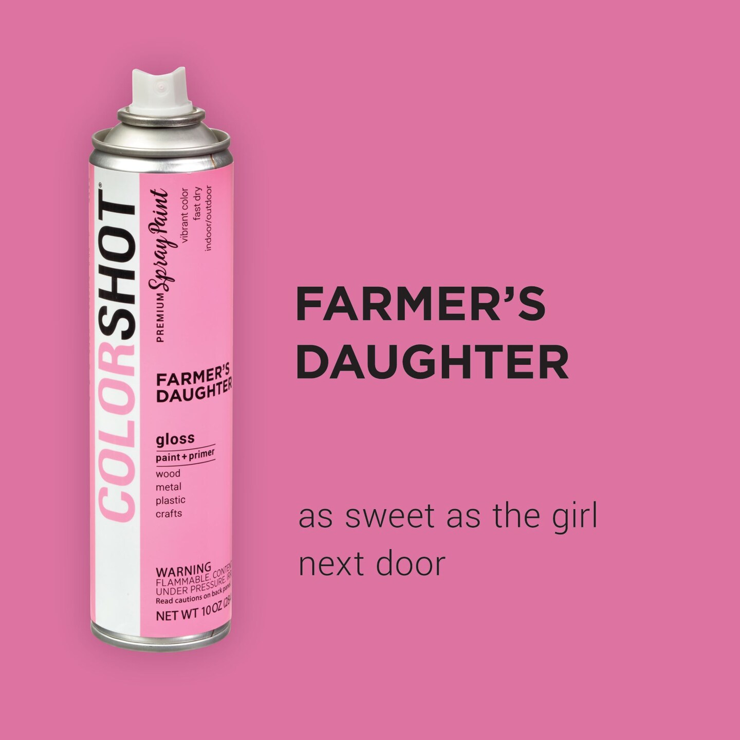 COLORSHOT Gloss Spray Paint Farmer&#x27;&#x27;s Daughter (Pink) 10 oz. 4 Pack