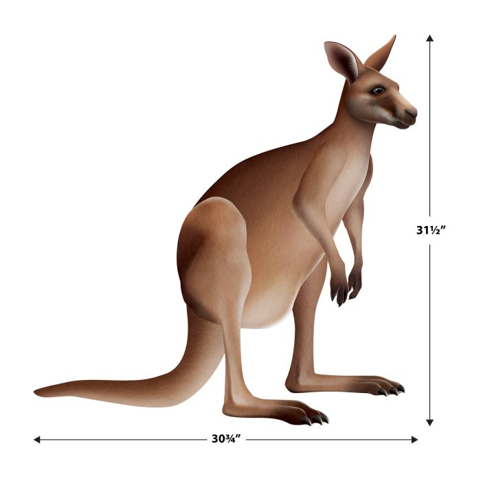 12 Pack Beistle Jointed Kangaroo Wall Decoration