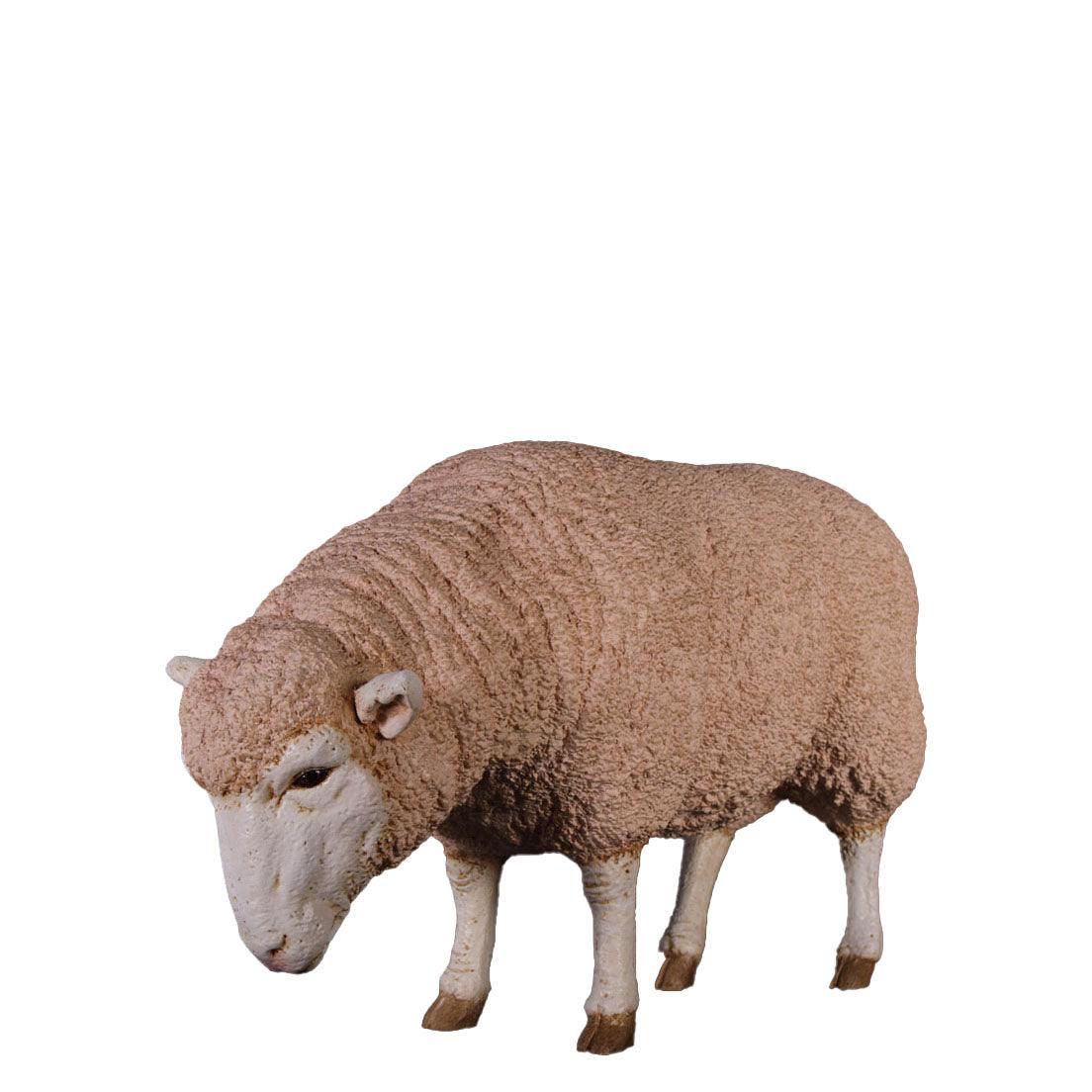 Merino Ewe Sheep Head Down Life Size Statue