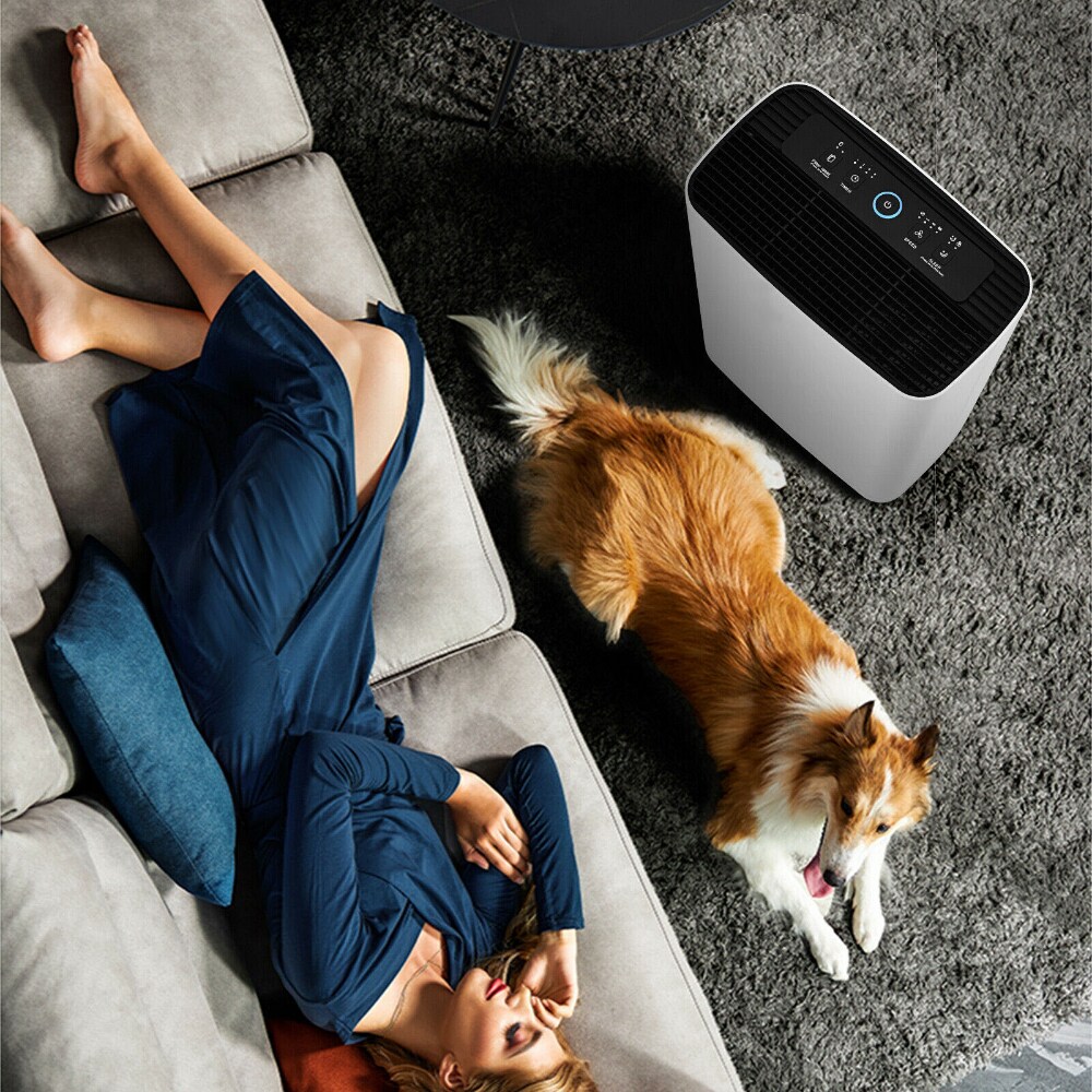 Air Purifier True HEPA Filter Carbon Filter Air Cleaner Home Office