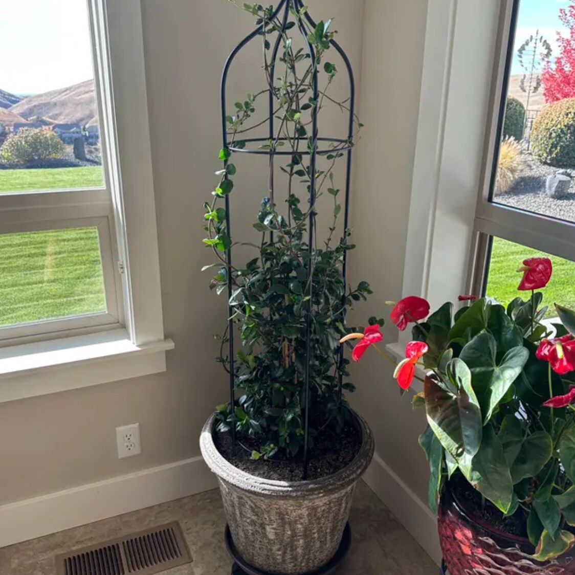 pot for plants indoor Tall Modern Planter Pot, Tapered Square Design