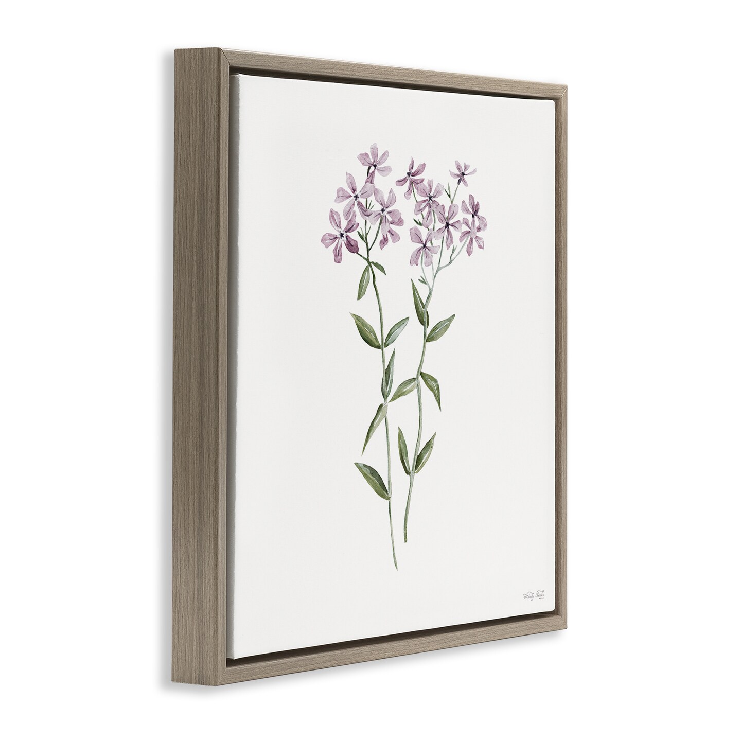 Stupell Industries Purple Phlox Botanical Floating Frame, design by Cindy Jacobs