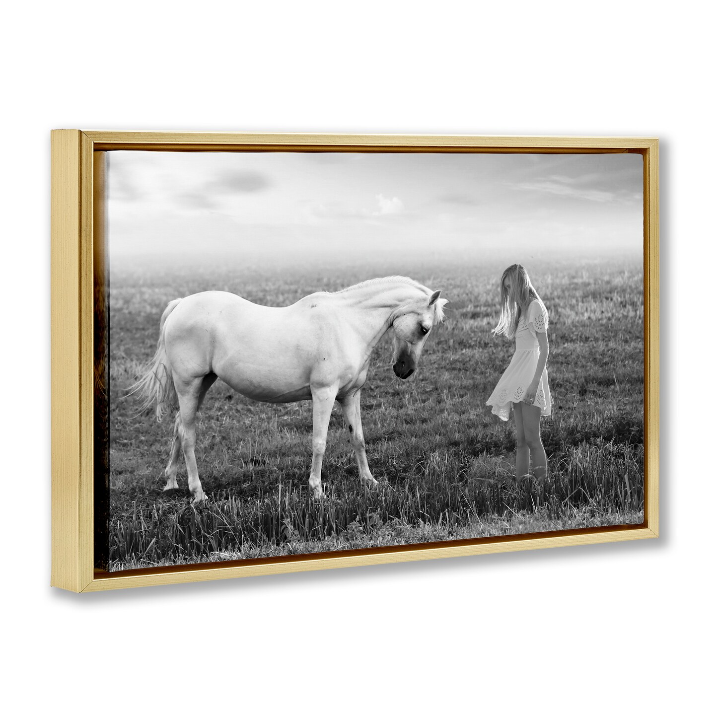 Stupell Industries Her White Horse Floating Frame, design by Ata Alishahi