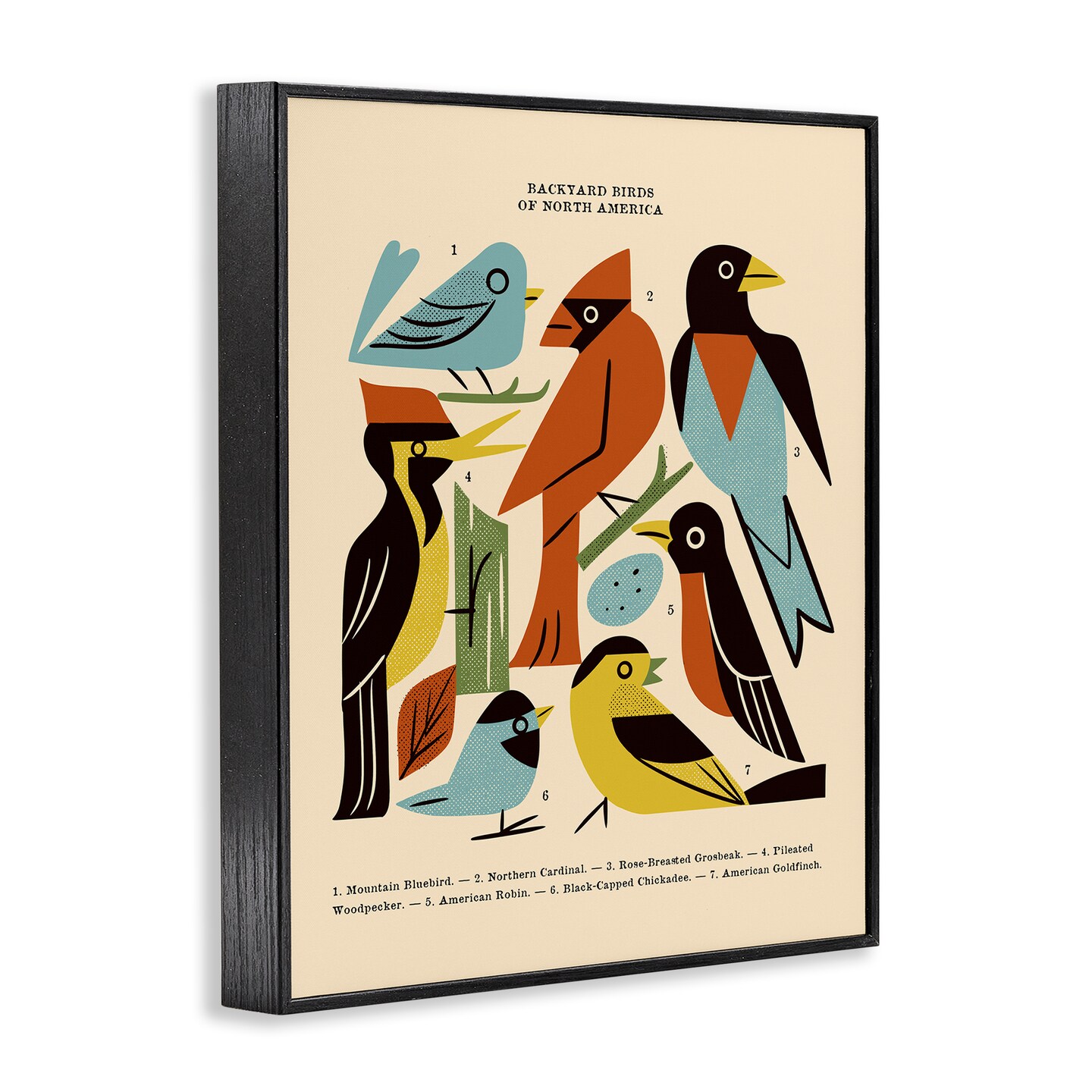 Stupell Industries Backyard Birds Midcentury Modern Framed Giclee, design by Renea L. Thull