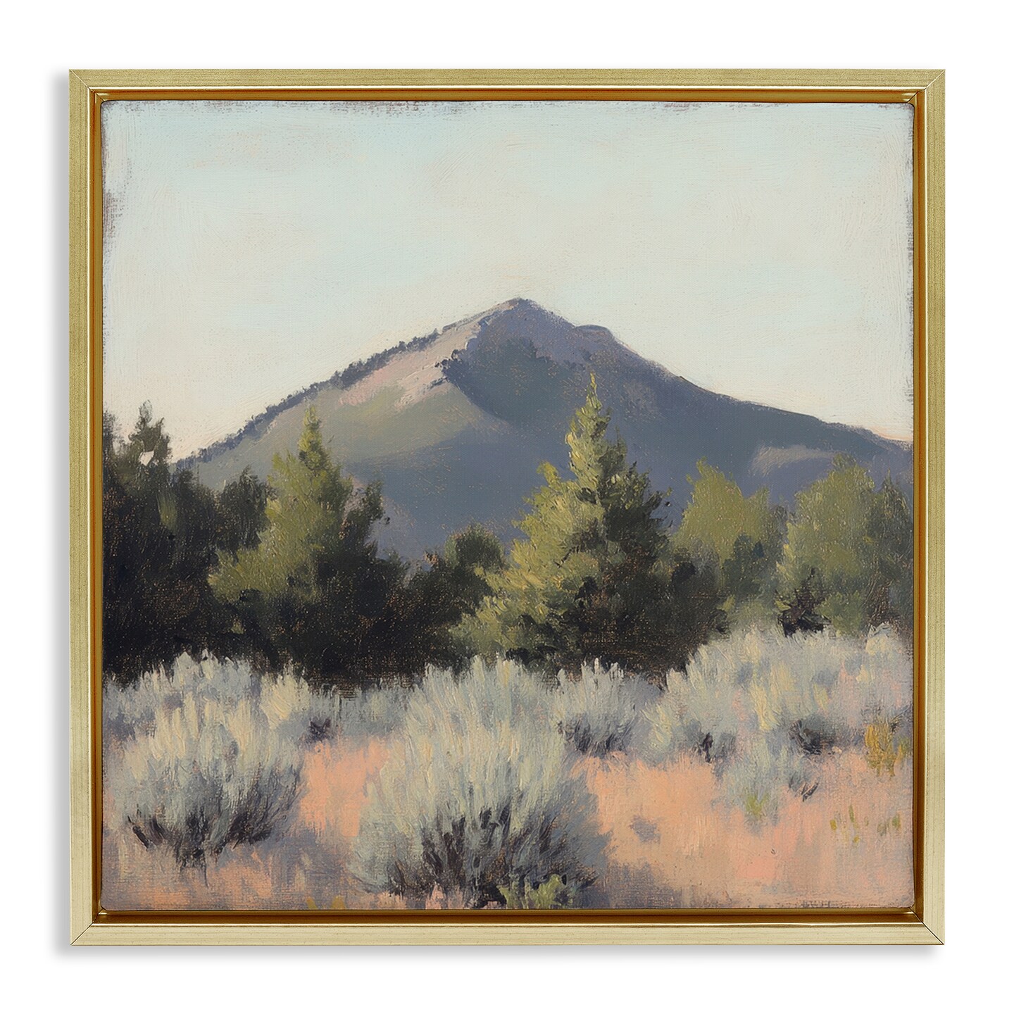Stupell Industries Tucson Mountain Landscape Floating Frame, design by Petal Prints Design