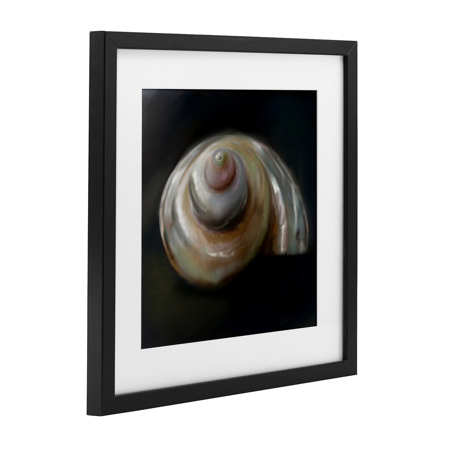 Stupell Industries Swirled Seashell Sea Treasure Framed Print Under Glass, design by Mary Sparrow