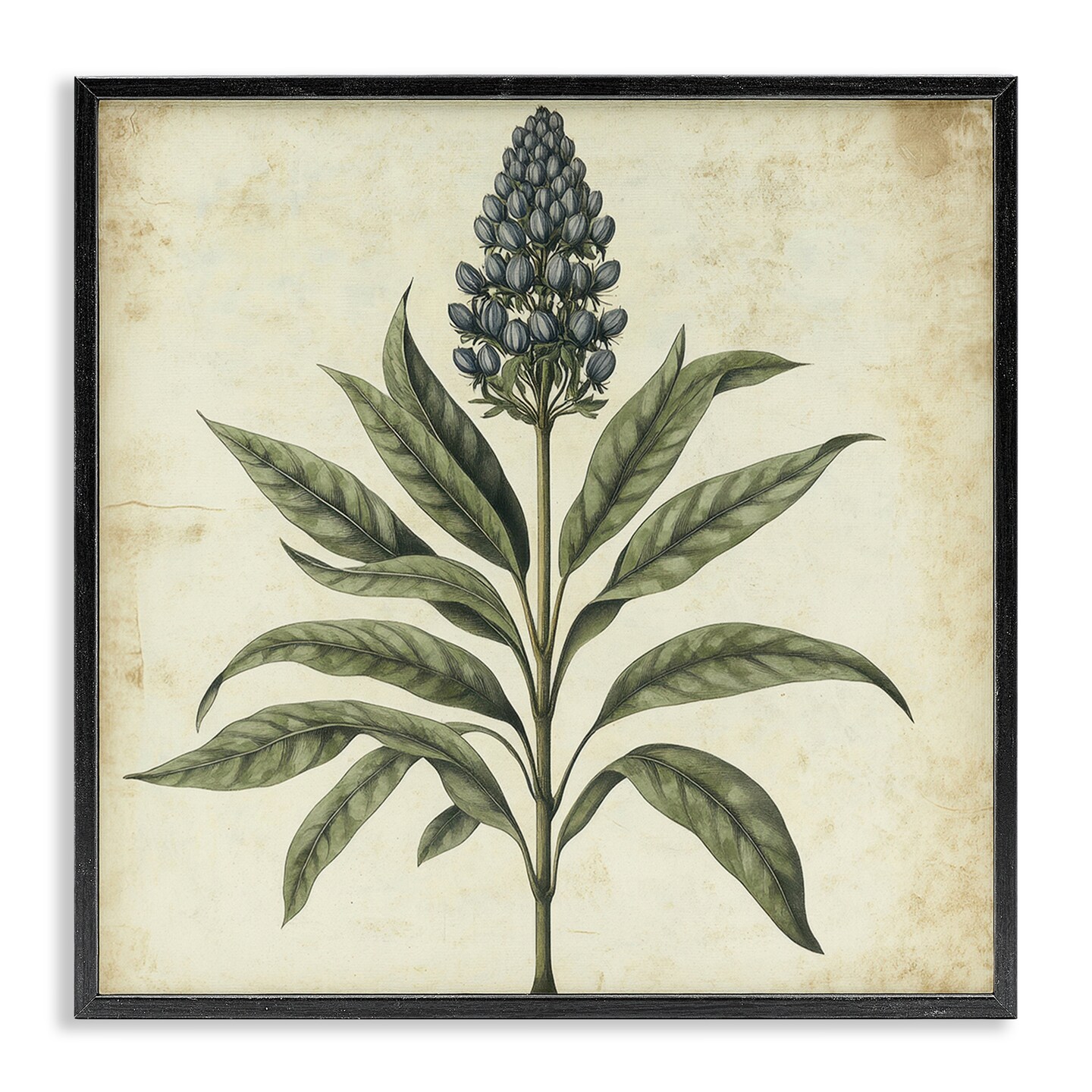 Stupell Industries Vintage Blue Botanical Illustration Framed Giclee, design by Petal Prints Design