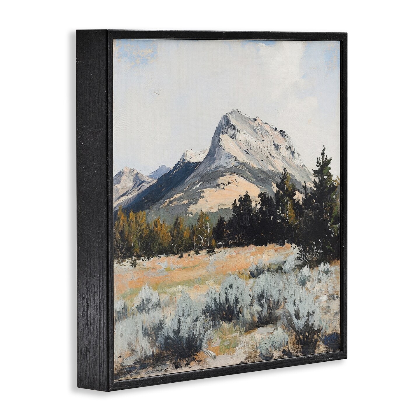 Stupell Industries Desert Mountains and Forest Landscape Framed Giclee, design by Petal Prints Design