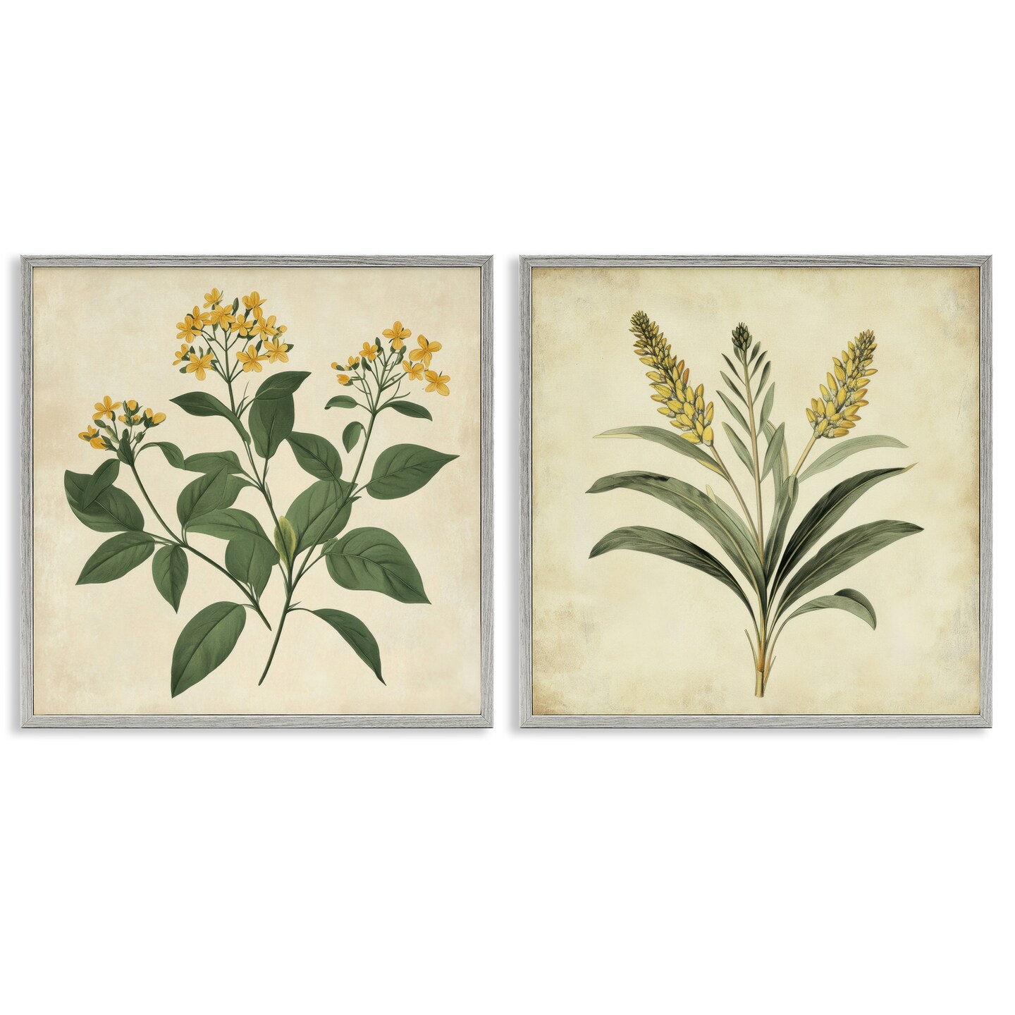 Stupell Industries Vintage Yellow Bushels and Wheat 2pc Framed Giclee Set, design by Petal Prints Design