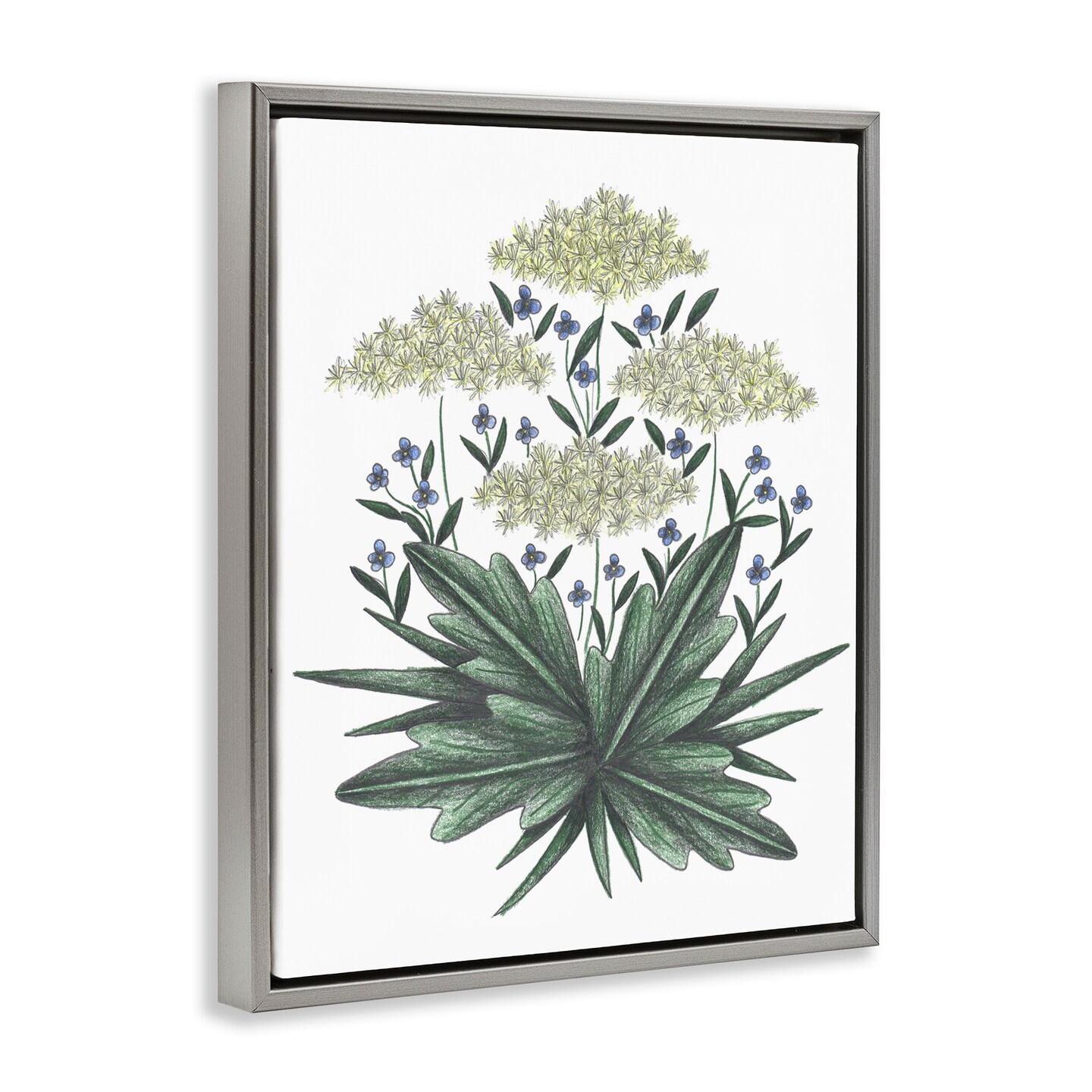 Stupell Industries New Roots Vintage Sketch Floating Frame, design by Cecilia Battaini