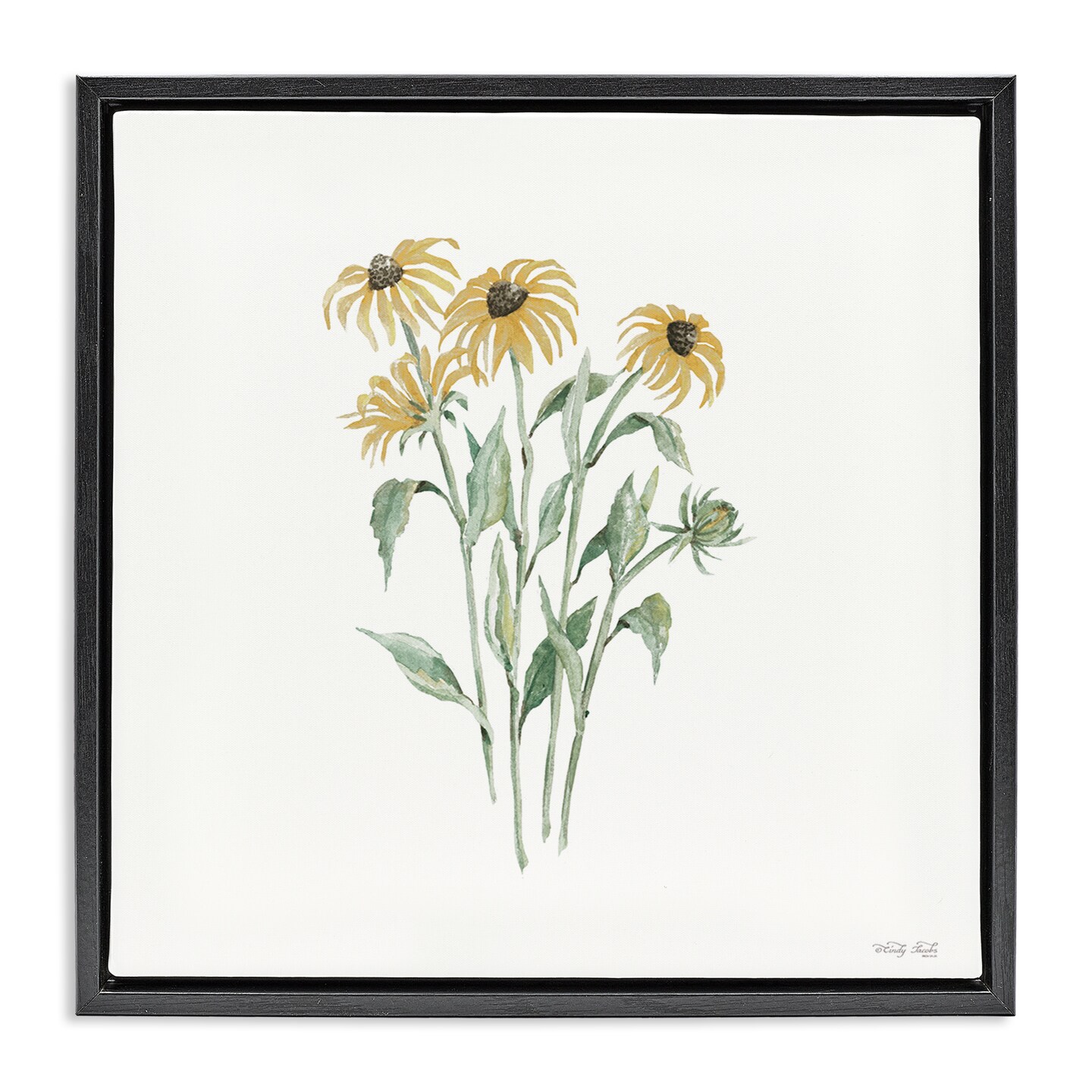 Stupell Industries Black-Eyed Susan Botanical Floating Frame, design by Cindy Jacobs