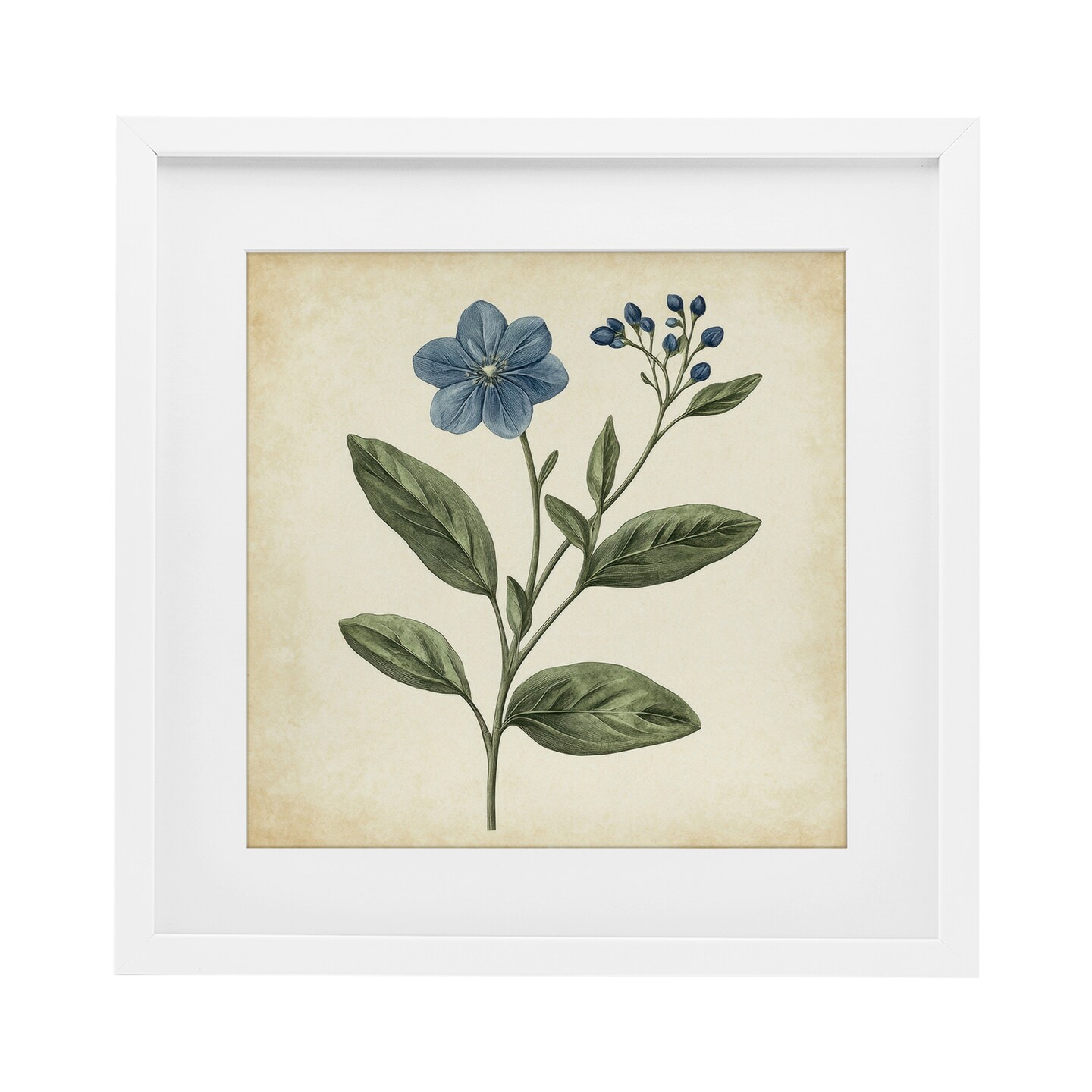 Stupell Industries Vintage Blue Blossoms Wildflower Framed Print Under Glass, design by Petal Prints Design