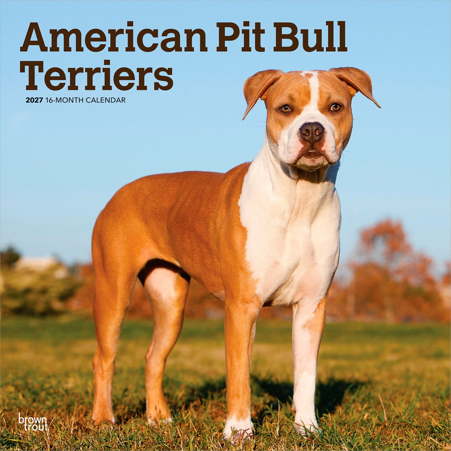 BrownTrout; American Pit Bull Terriers | 2027 12 x 24 Inch (Hanging) Monthly Square Wall Calendar | Plastic-Free; Category:Wall Calendars; Image:1