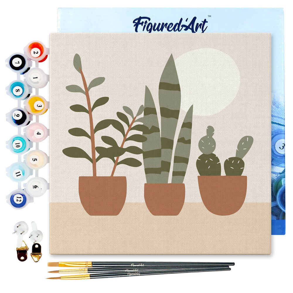 Figured&#x27;Art Mini Paint by Numbers Kit for Adults with Frame Three plant pots Small format 8&#x22;x8&#x22; - Craft Art Painting DIY Canvas Already Stretched on a Wooden Frame