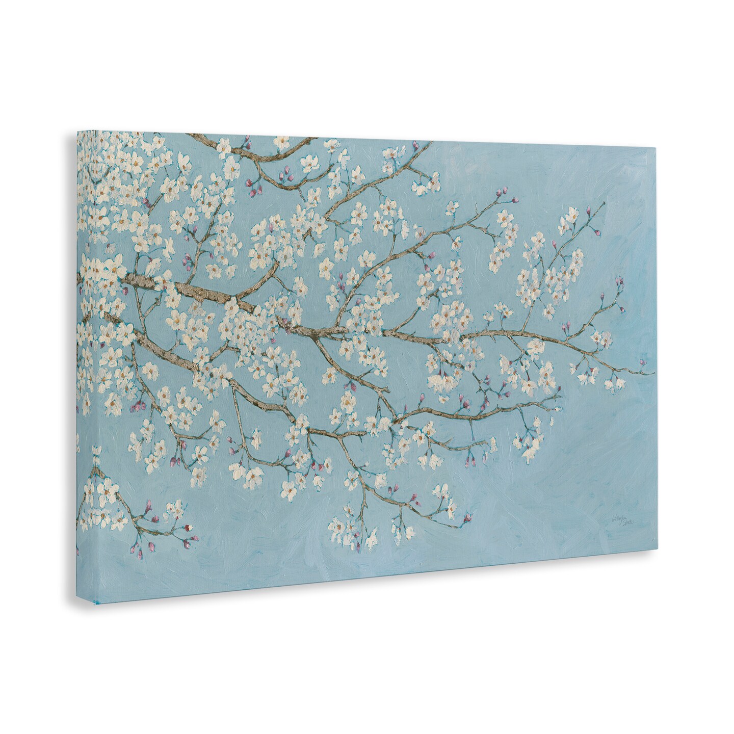 Stupell Industries Delicate Apple Blossoms Canvas Wall Art Design by Wellington Studio