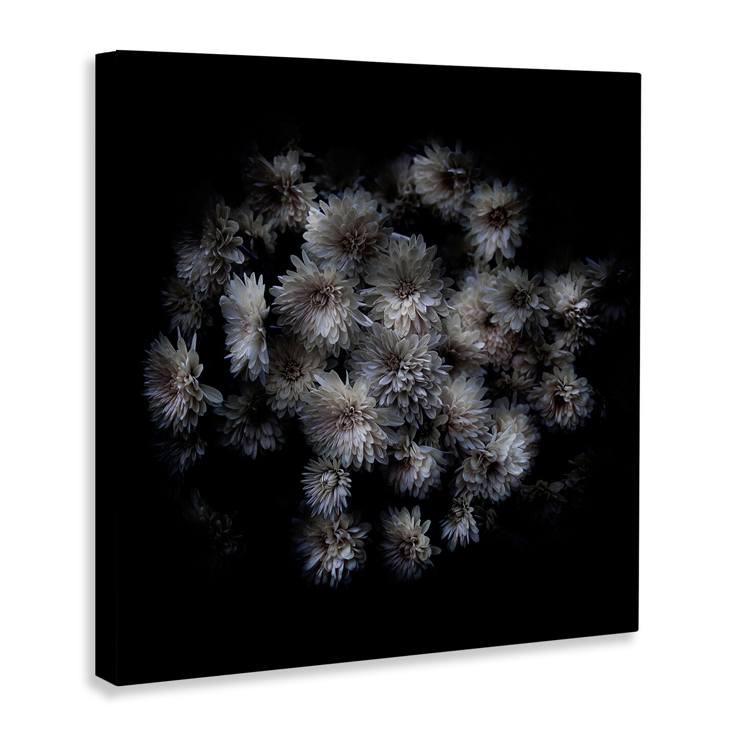 Stupell Industries Mum Bundle on Black Canvas Wall Art Design by Brian Carson