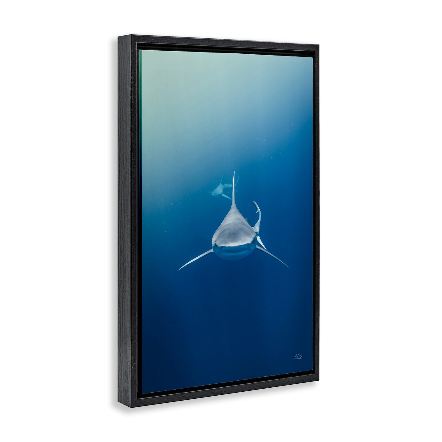 Stupell Industries Heads Up Shark Floater Framed Canvas Wall Art Design by Max Blakesberg Studios