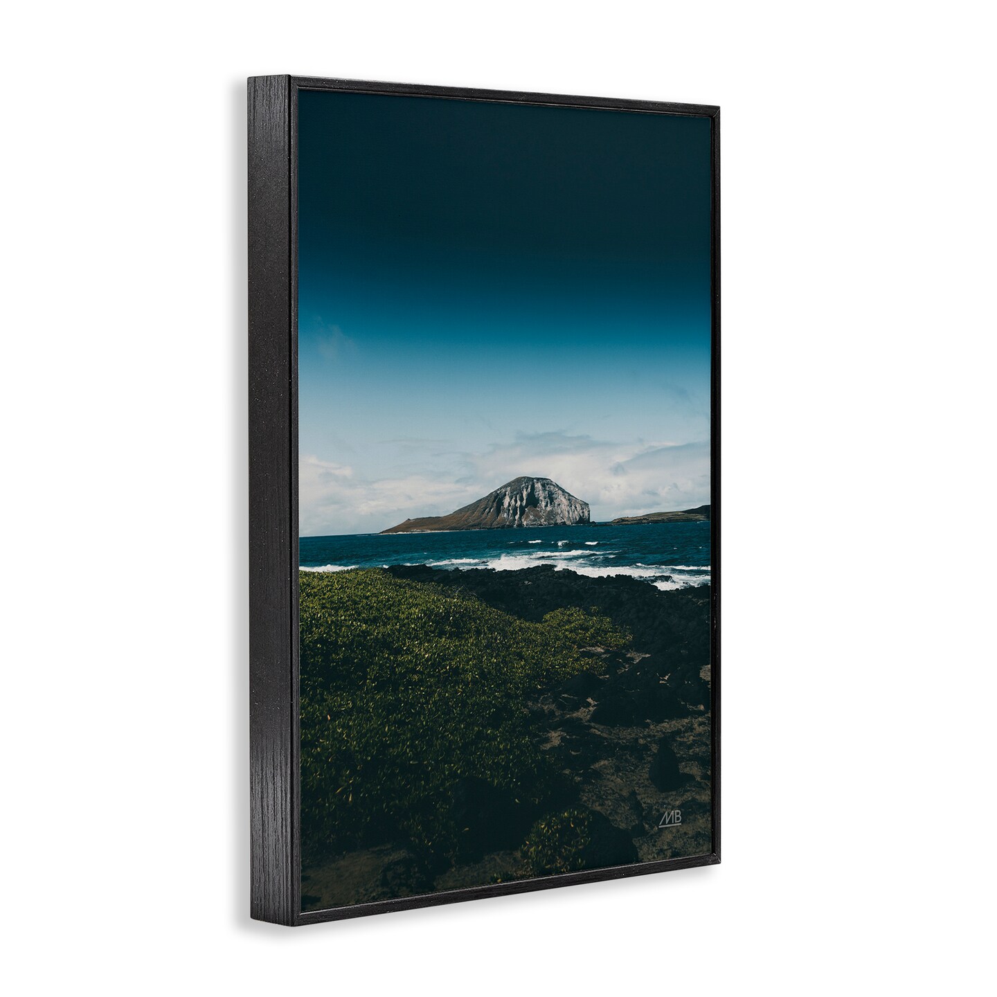 Stupell Industries Hawaiian Rocky Shore Framed Giclee Wall Art Design by Max Blakesberg Studios