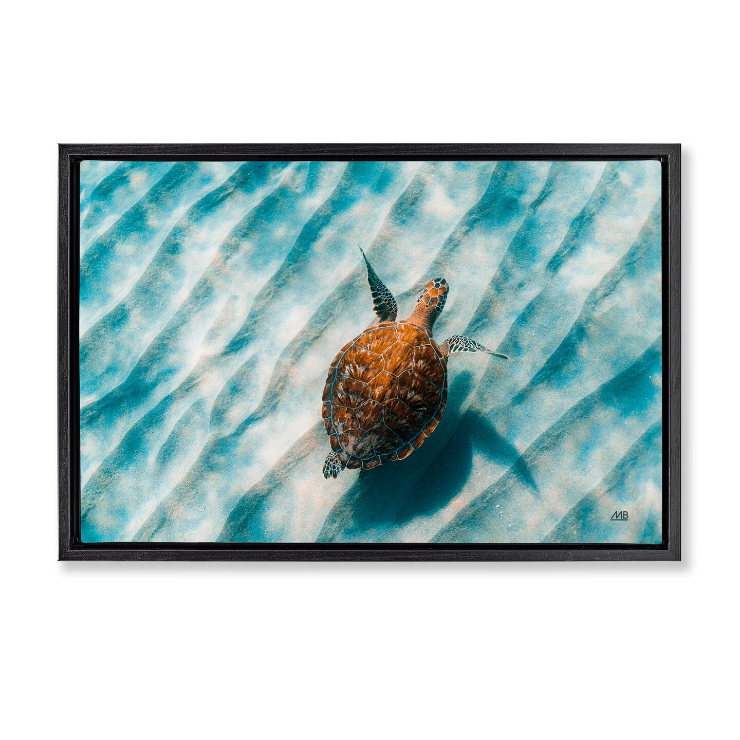 Stupell Industries Sandbar Sea Turtle Floater Framed Canvas Wall Art Design by Max Blakesberg Studios