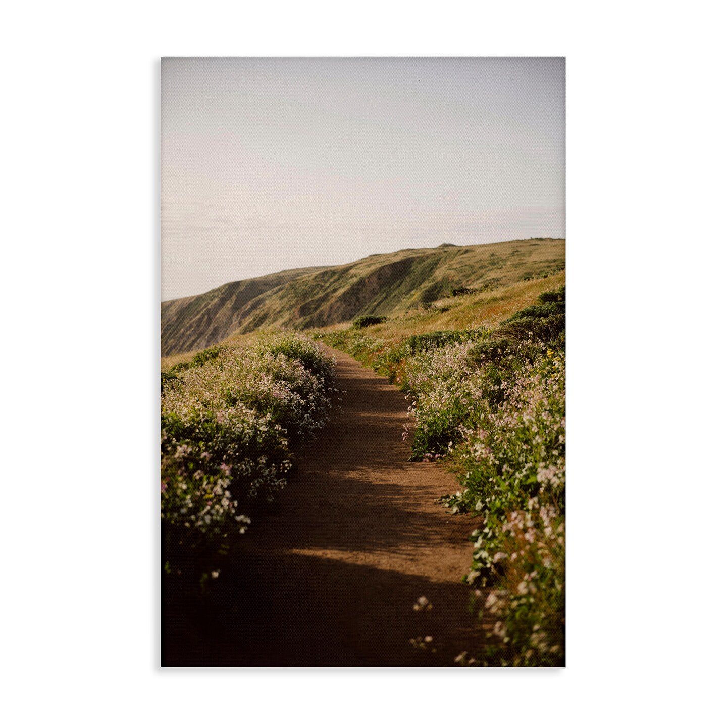 Stupell Industries Path by Beach Coast Canvas Wall Art Design by Crystal Lynn Collins