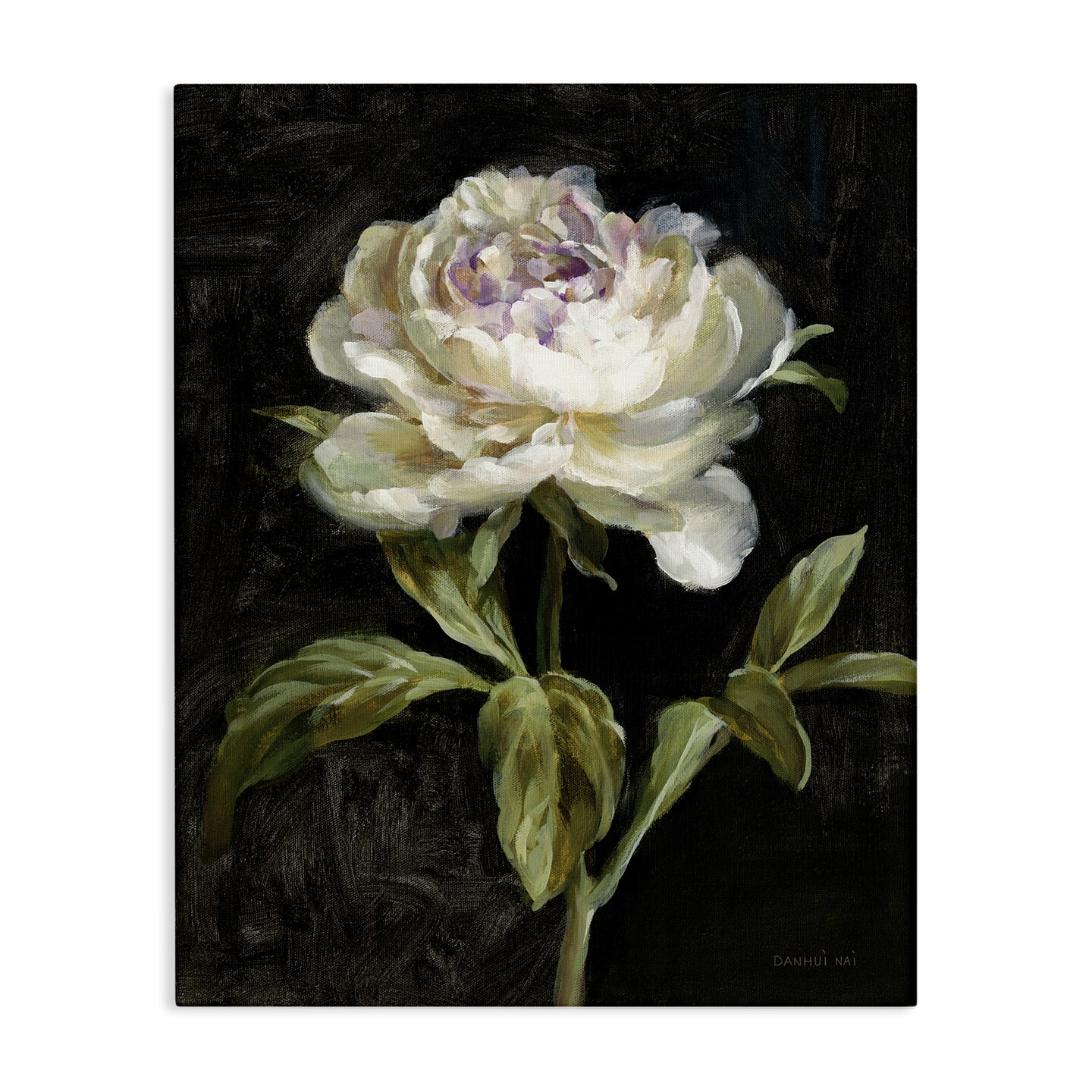 Stupell Industries Peony on Black Canvas Wall Art Design by Danhui Nai