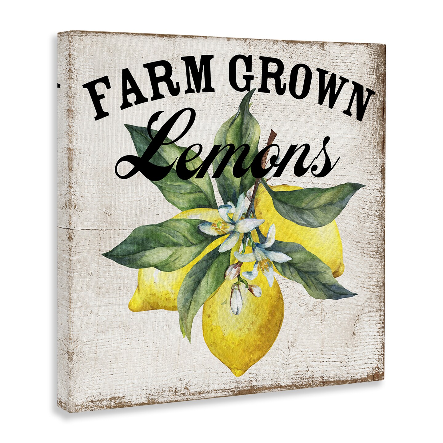 Stupell Industries Farm Grown Lemons Canvas Wall Art Design by Creatif Belle