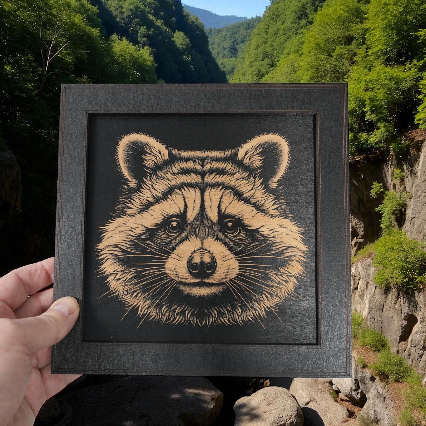 Framed Art - CUSTOM - Raccoon