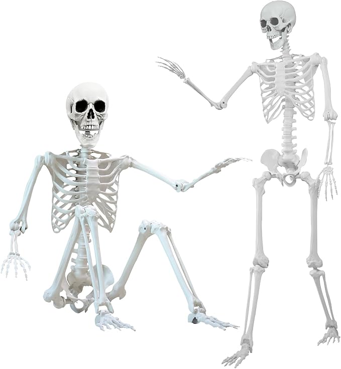 5.4 ft Halloween Skeleton Poseable Skeleton Life Size Skeleton Full Body Plastic Human Bones Standing Human Skeleton with Posable Joints for Halloween Decoration