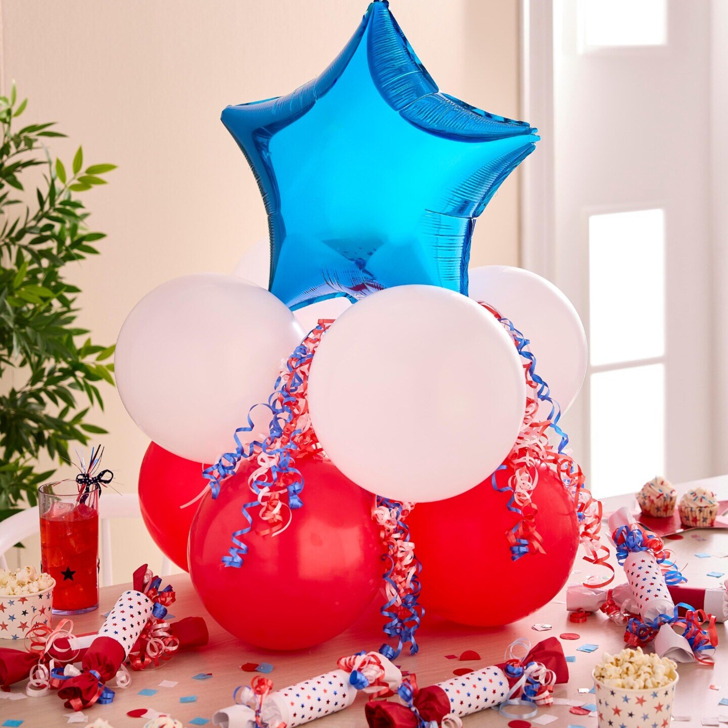4th of July Party Celebration