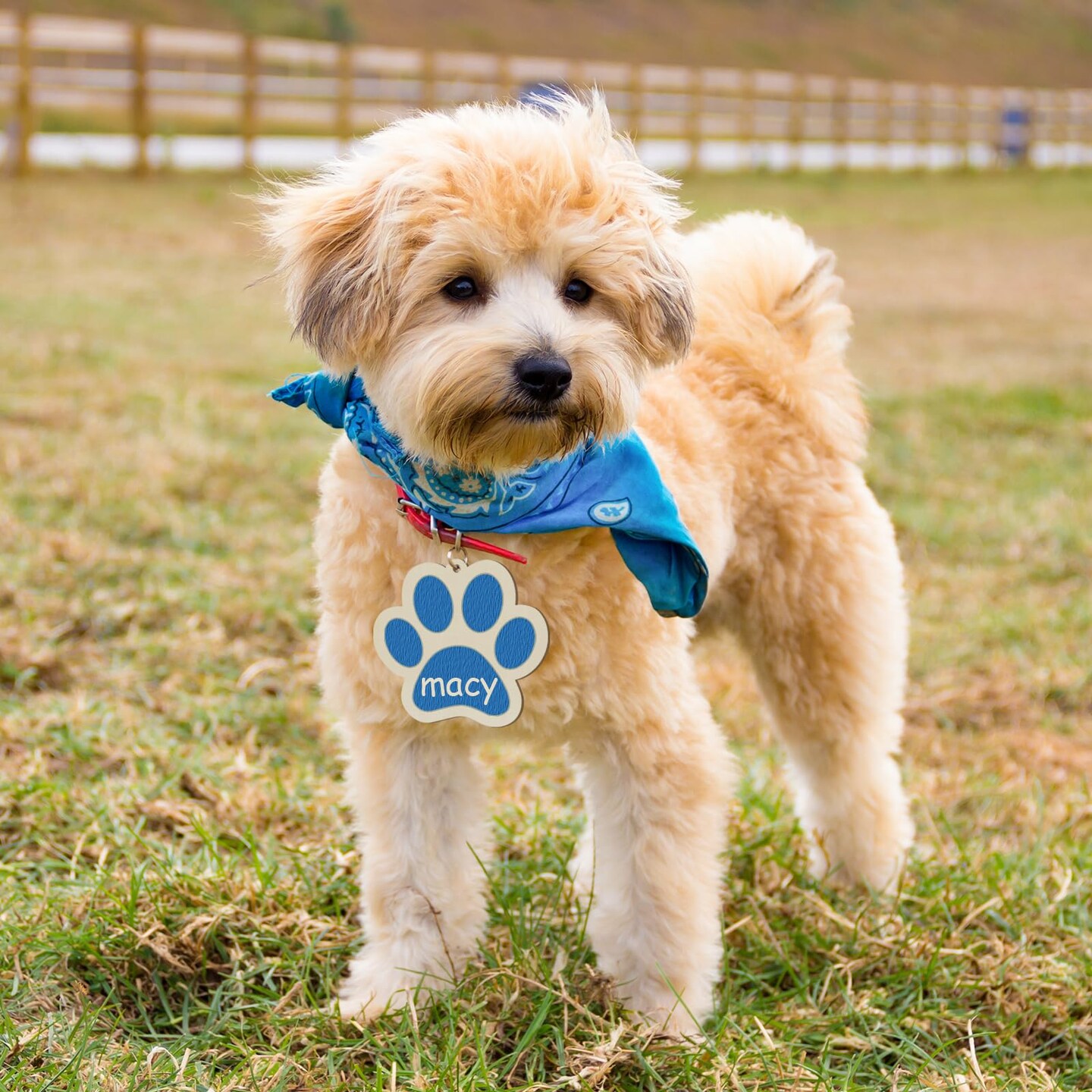 Wooden Dog Paw-Shaped Ornaments to Paint Dog House Decoration Cutouts Unfinished 24PCS, DIY Blank Unfinished Wood Discs Ornament for Pet Theme Party Crafts Hanging Christmas Thanksgiving Decoration