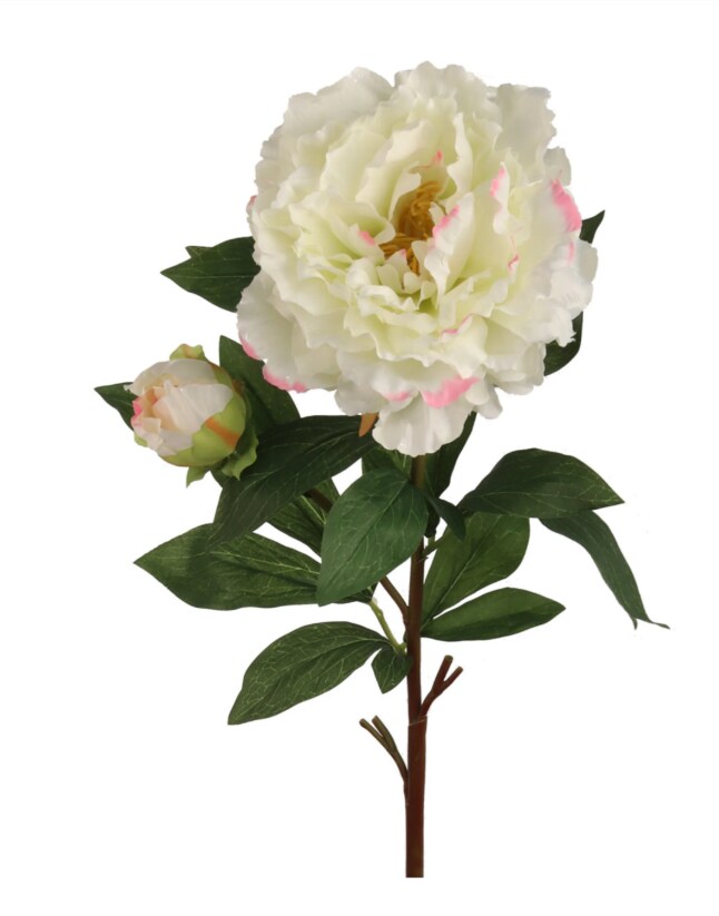 2pc 30" Peony Stem