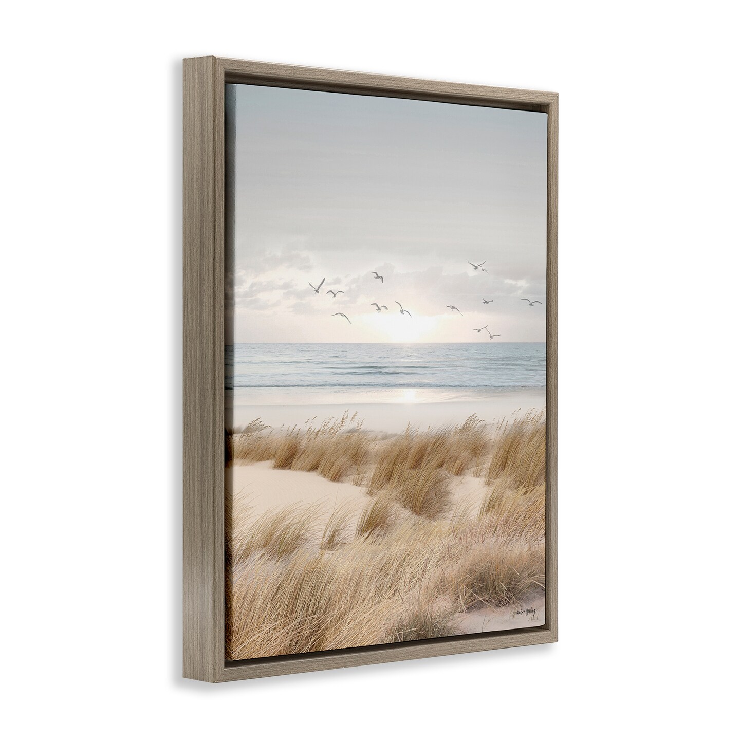 Stupell Industries Coastal Dreams Seagulls Floating Frame, design by Amber Sterling