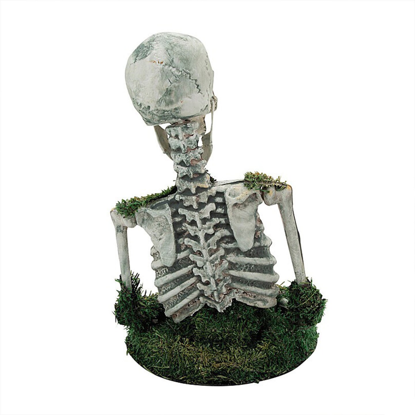 Mossy Skeleton Animated Tabletop Halloween Decoration 9 3/4 by 14 3/4 Inches
