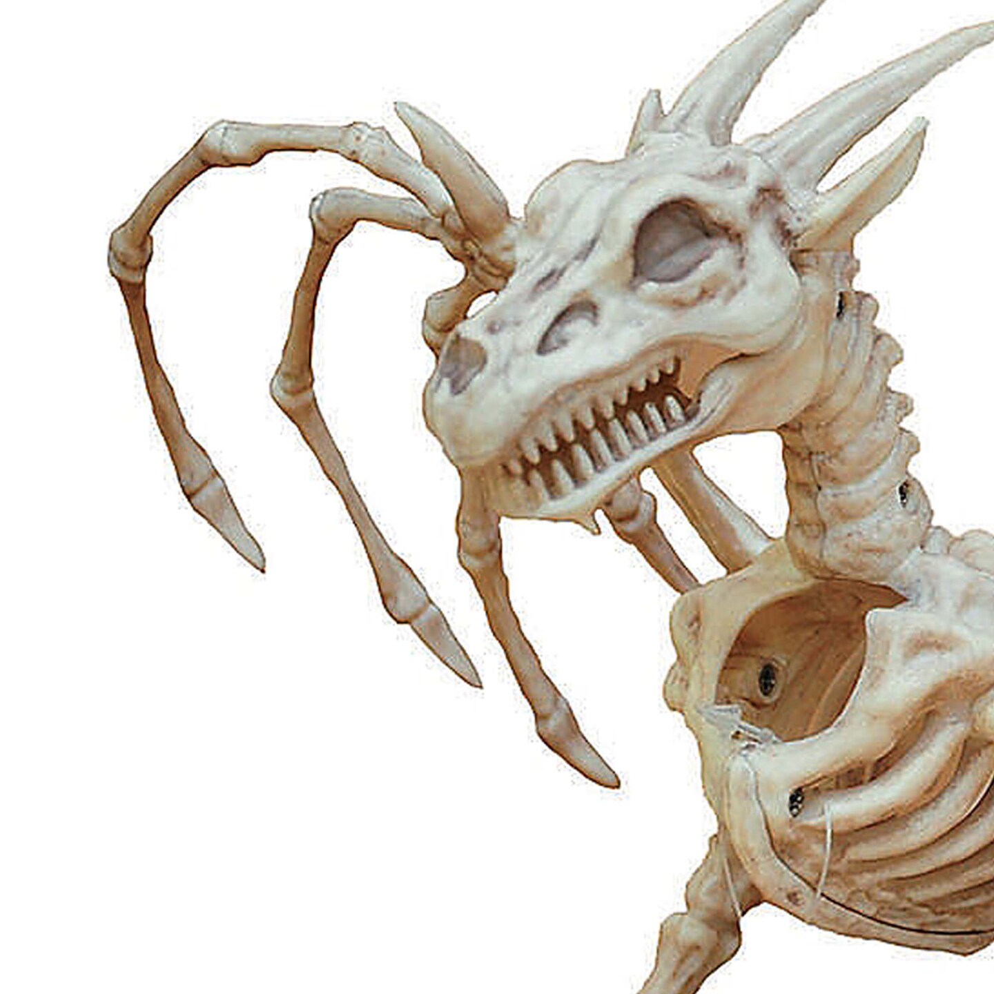 Small Dragon Skeleton Halloween Decoration for Haunted House or Party Display