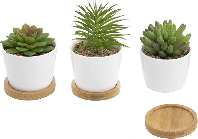 Assorted Artificial Succulent Plants - Decorative Fake Desert Plants with Pebble Fillers in White Ceramic Pots with Bamboo Saucers, Set of 3