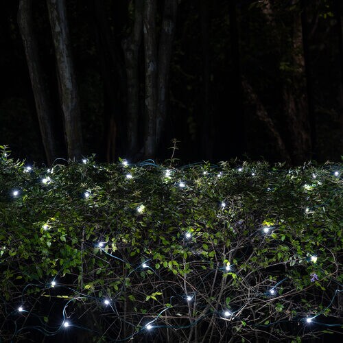 5mm 4&#x27; x 6&#x27; Cool White SoftTwinkle LED Net Lights, Green Wire