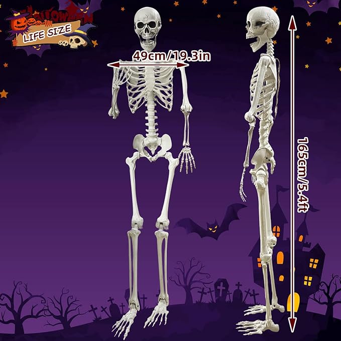 Skeletons Plastic Human Bones with Movable Joints for Halloween Decoration