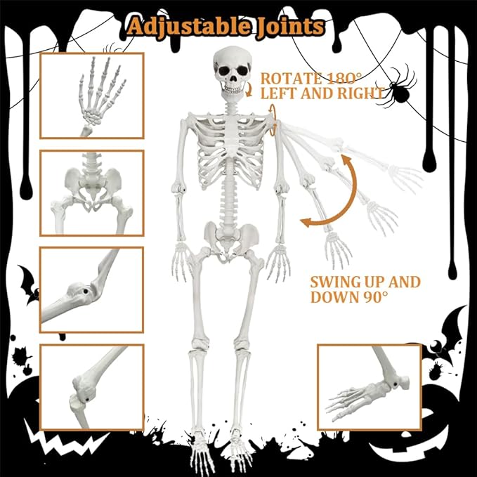 1Pcs 5.9ft Life Size Human Skeleton with Movable Joints for Halloween Haunted House Decoration