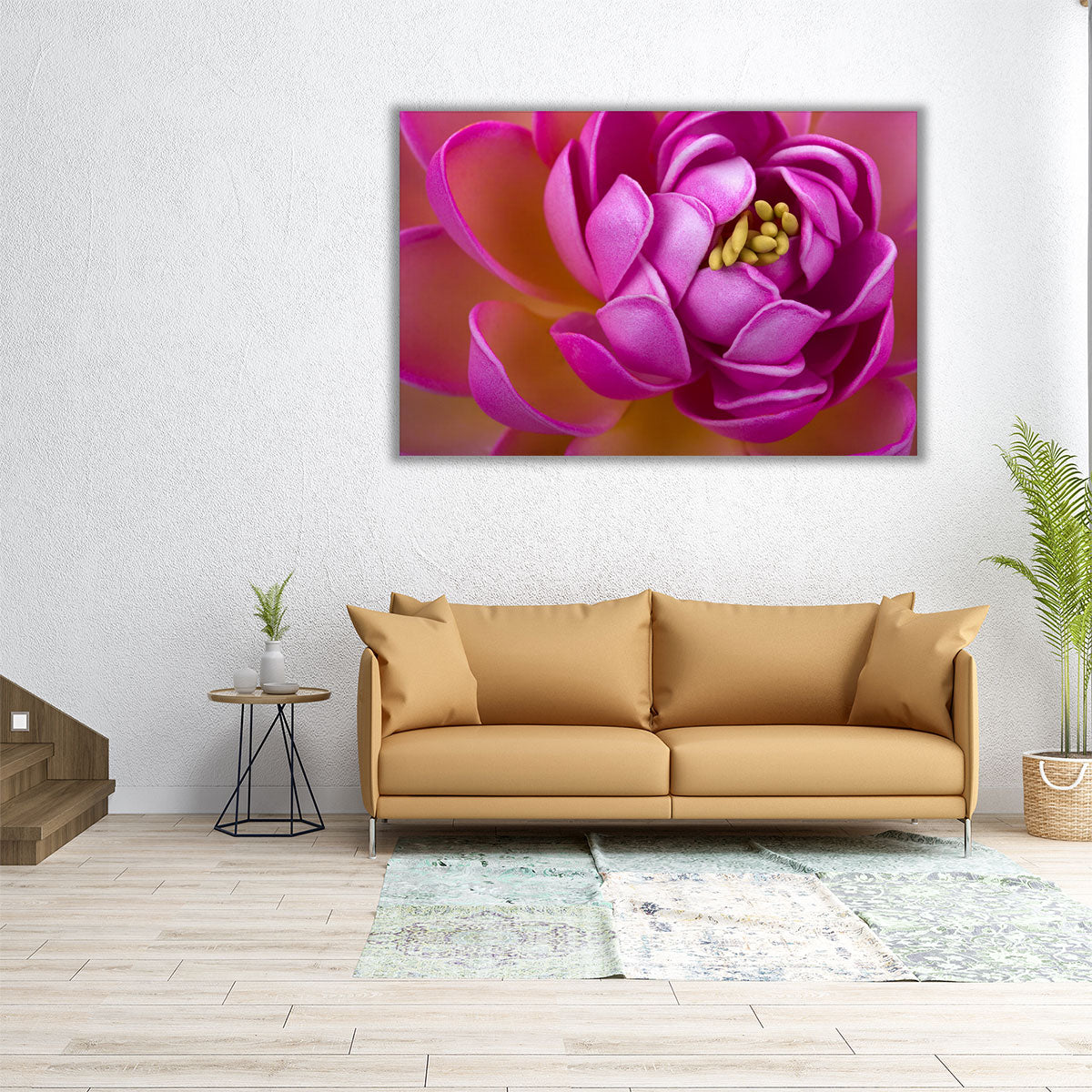 Pink Lotus Printed outlets on Canvas